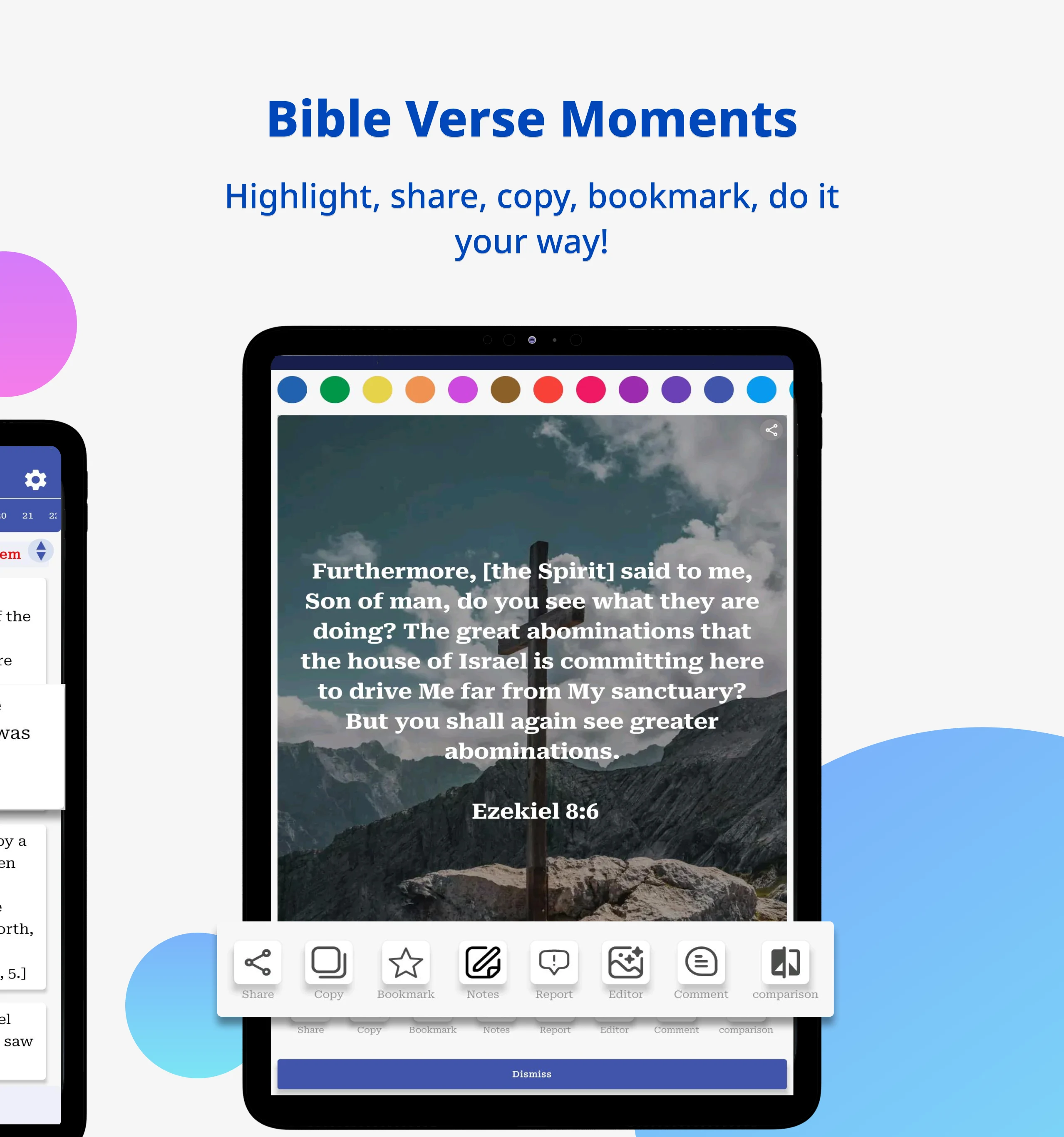 Amplified Bible Commentary screenshot